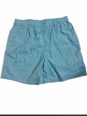 The North Face Men's Teal Shorts